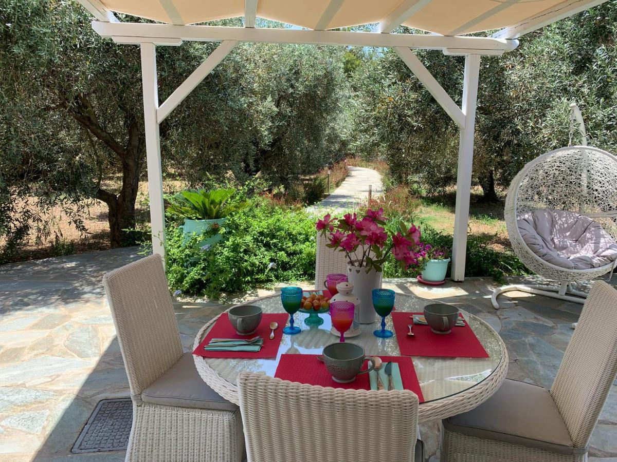 Chiqui Luxury Apartments Alónnisos 외부 사진