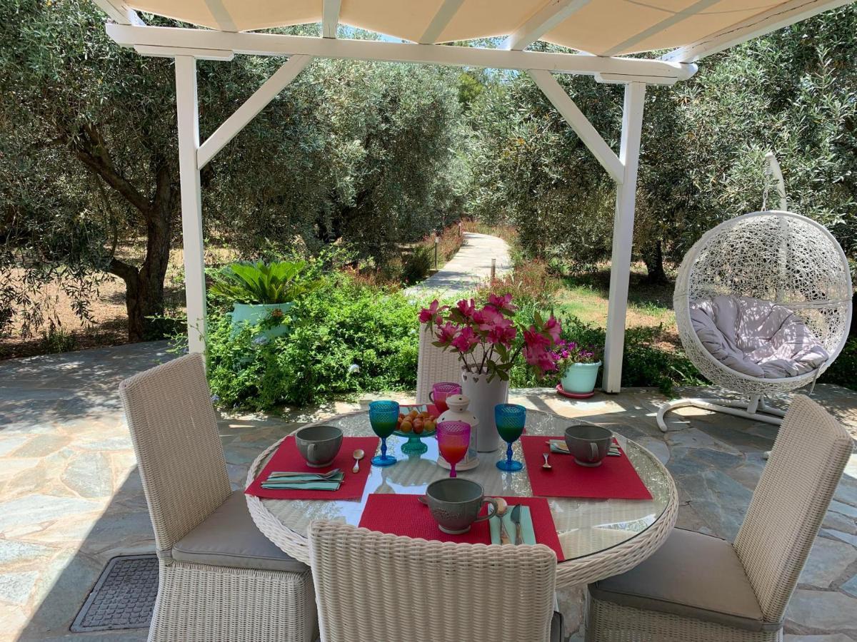 Chiqui Luxury Apartments Alónnisos 외부 사진