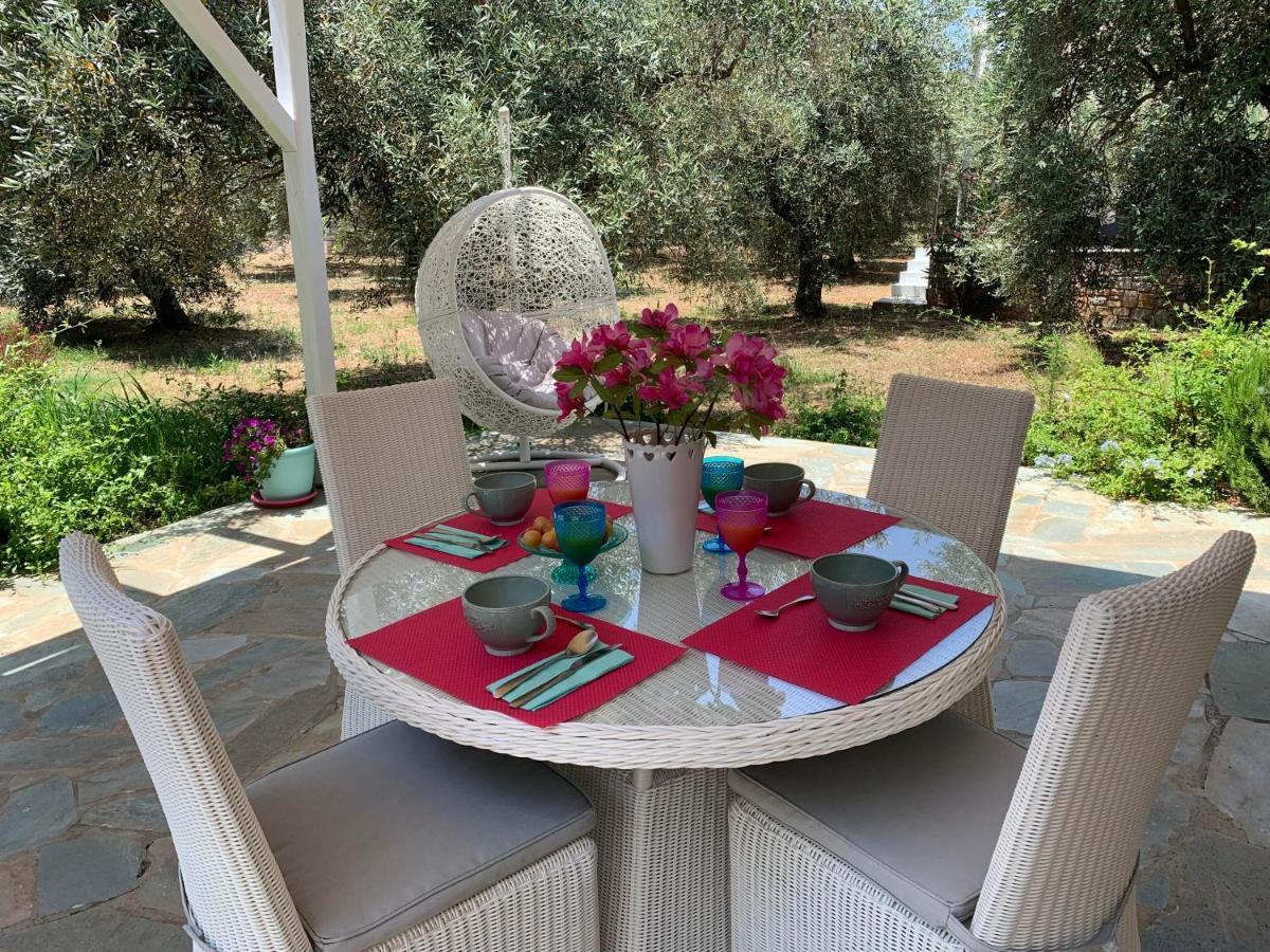 Chiqui Luxury Apartments Alónnisos 외부 사진